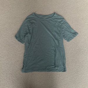 samll blue everlane t-shirt